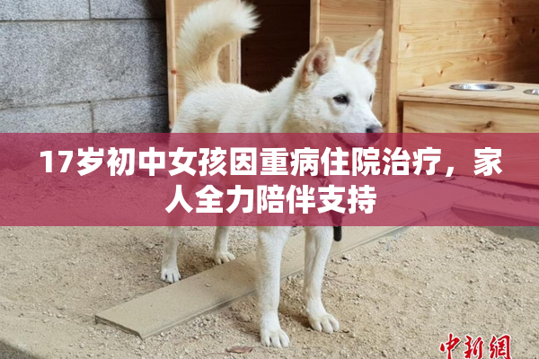 17岁初中女孩因重病住院治疗，家人全力陪伴支持