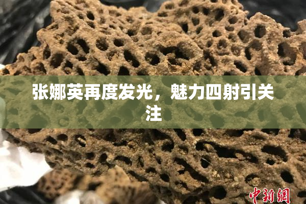 张娜英再度发光，魅力四射引关注