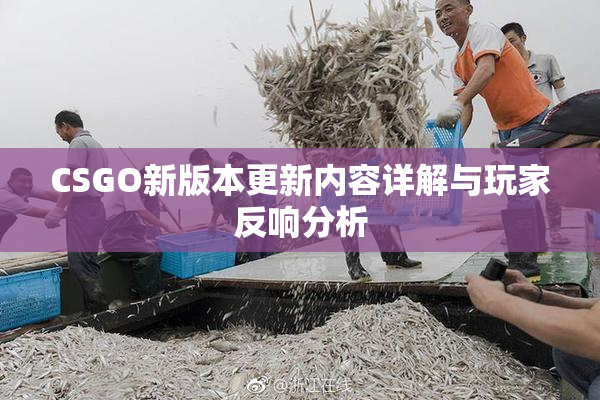 CSGO新版本更新内容详解与玩家反响分析