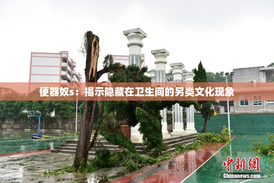 便器奴s：揭示隐藏在卫生间的另类文化现象