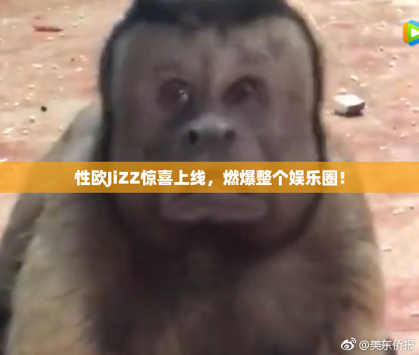 性欧JiZZ惊喜上线，燃爆整个娱乐圈！