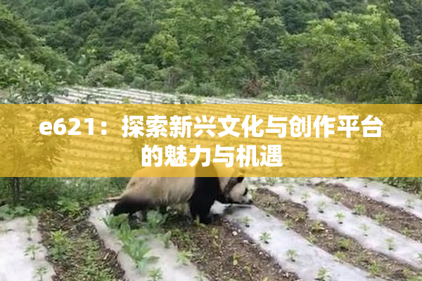 e621：探索新兴文化与创作平台的魅力与机遇