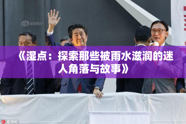 《湿点：探索那些被雨水滋润的迷人角落与故事》