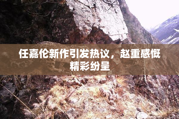 任嘉伦新作引发热议，赵重感慨精彩纷呈