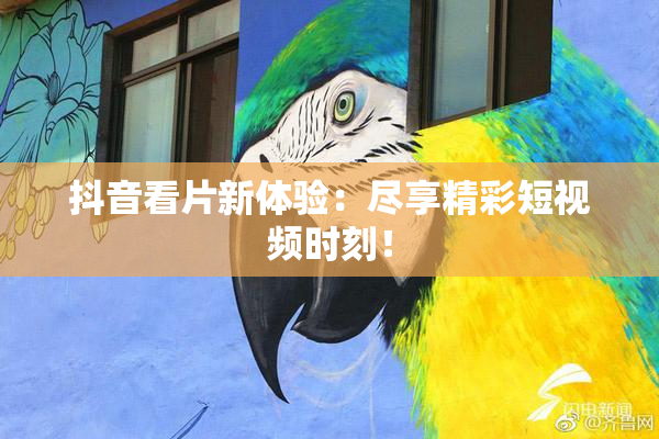 抖音看片新体验：尽享精彩短视频时刻！