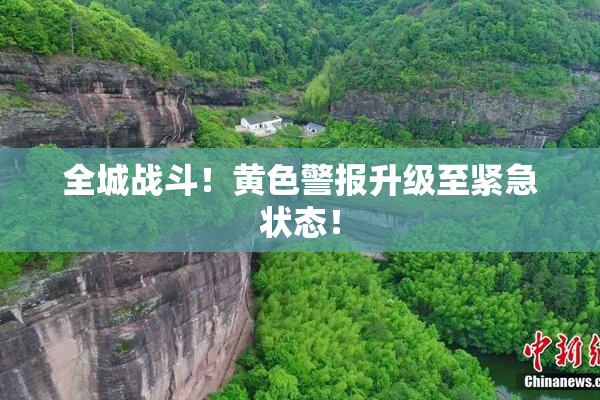 全城战斗！黄色警报升级至紧急状态！