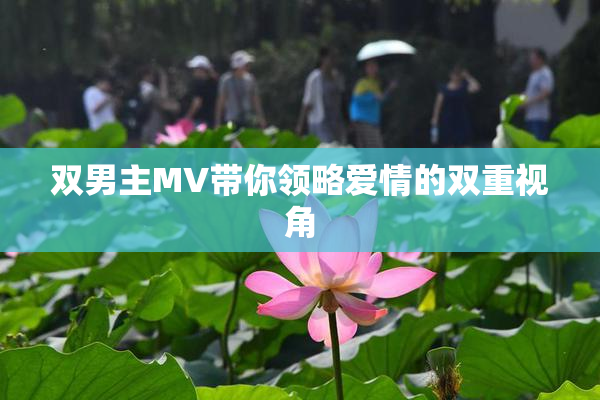 双男主MV带你领略爱情的双重视角
