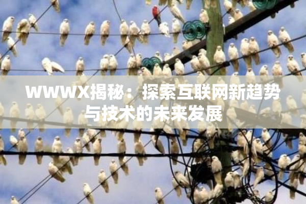WWWX揭秘：探索互联网新趋势与技术的未来发展