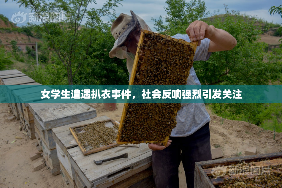 女学生遭遇扒衣事件，社会反响强烈引发关注