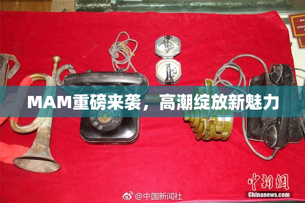 MAM重磅来袭，高潮绽放新魅力