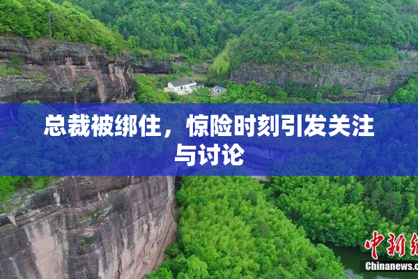 总裁被绑住，惊险时刻引发关注与讨论