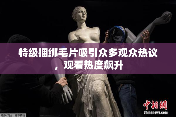 特级捆绑毛片吸引众多观众热议，观看热度飙升