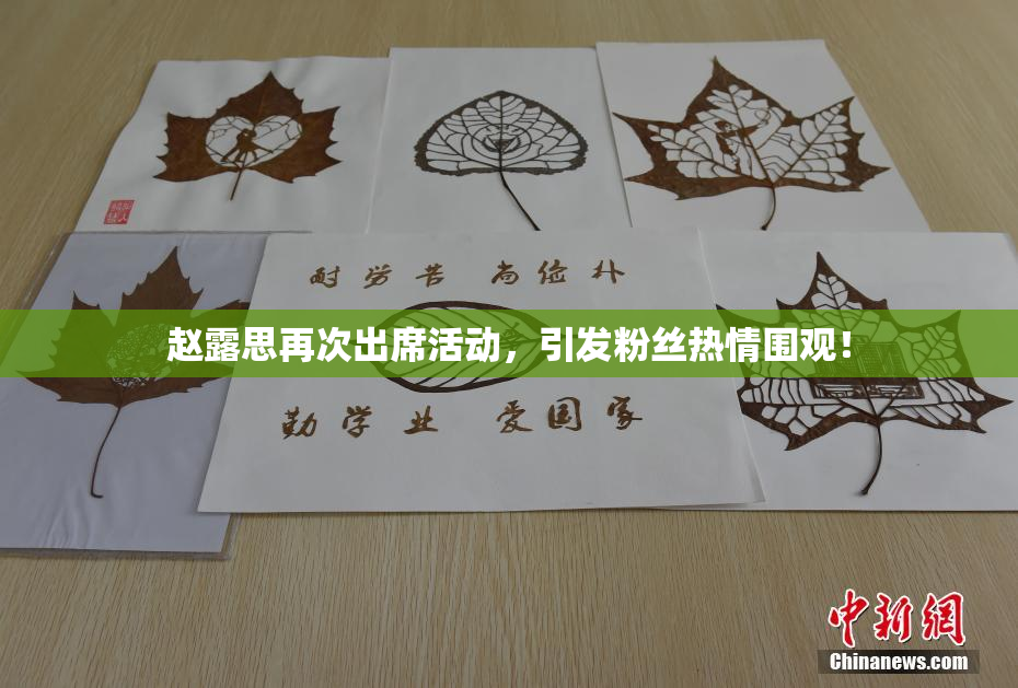 赵露思再次出席活动，引发粉丝热情围观！
