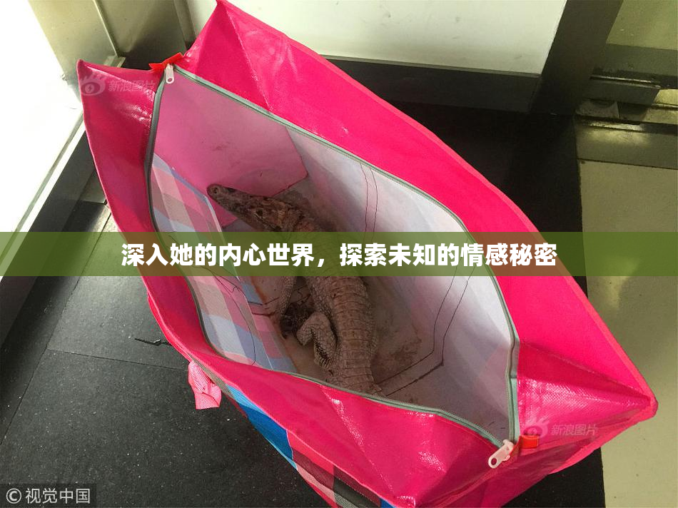 深入她的内心世界，探索未知的情感秘密