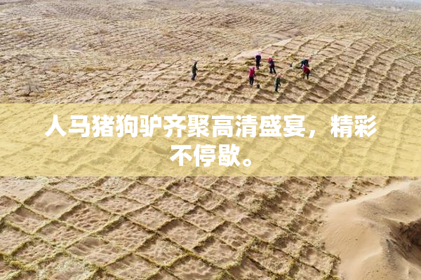 人马猪狗驴齐聚高清盛宴，精彩不停歇。