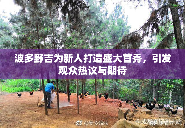 波多野吉为新人打造盛大首秀，引发观众热议与期待