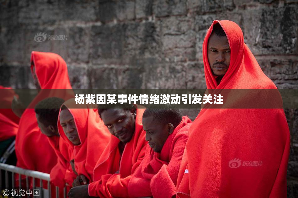 杨紫因某事件情绪激动引发关注