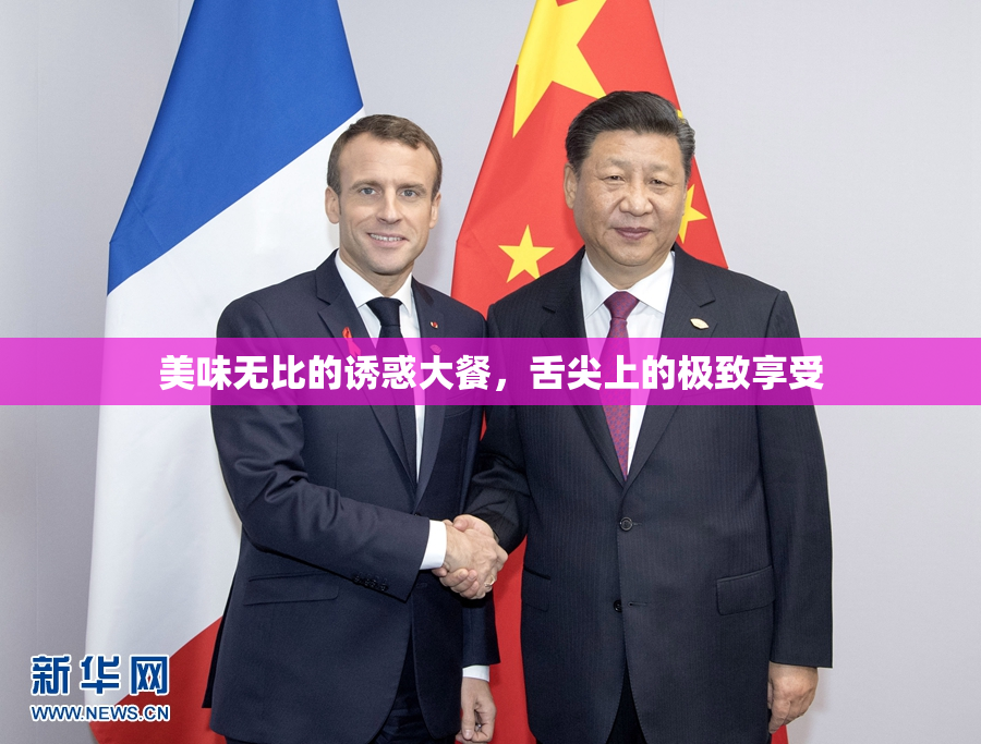 美味无比的诱惑大餐，舌尖上的极致享受