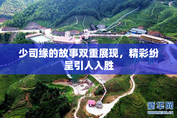 少司缘的故事双重展现，精彩纷呈引人入胜