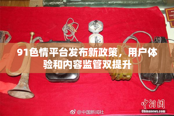91色情平台发布新政策，用户体验和内容监管双提升