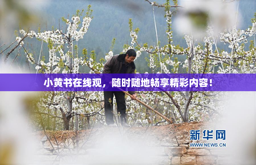 小黄书在线观，随时随地畅享精彩内容！