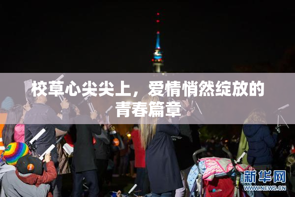 校草心尖尖上，爱情悄然绽放的青春篇章