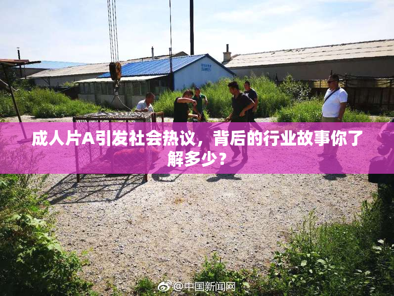 成人片A引发社会热议，背后的行业故事你了解多少？