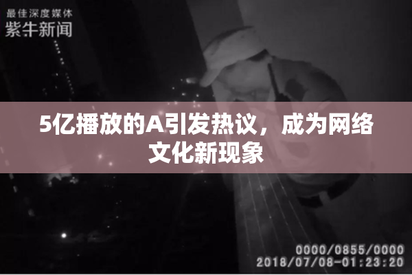 5亿播放的A引发热议，成为网络文化新现象