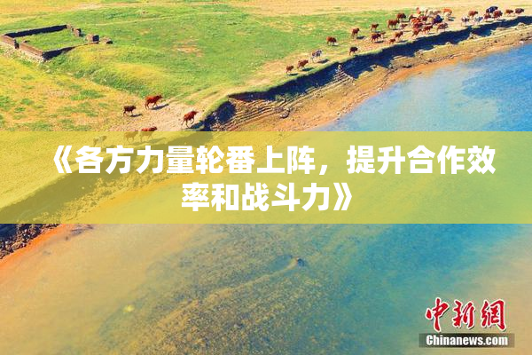 《各方力量轮番上阵，提升合作效率和战斗力》