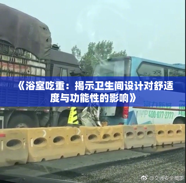 《浴室吃重：揭示卫生间设计对舒适度与功能性的影响》