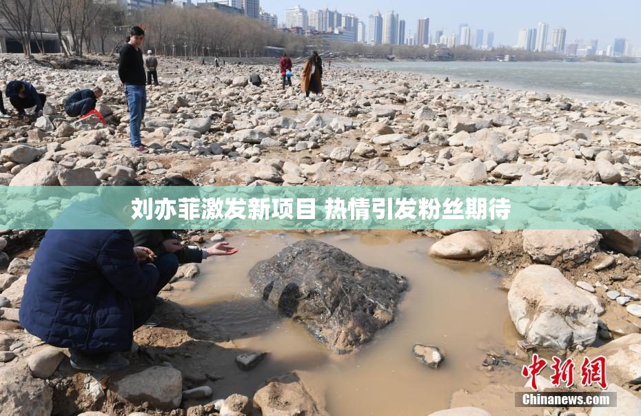 刘亦菲激发新项目 热情引发粉丝期待