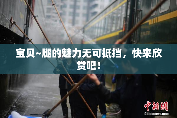 宝贝~腿的魅力无可抵挡，快来欣赏吧！