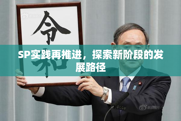 SP实践再推进，探索新阶段的发展路径
