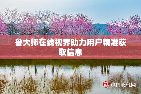 鲁大师在线视界助力用户精准获取信息