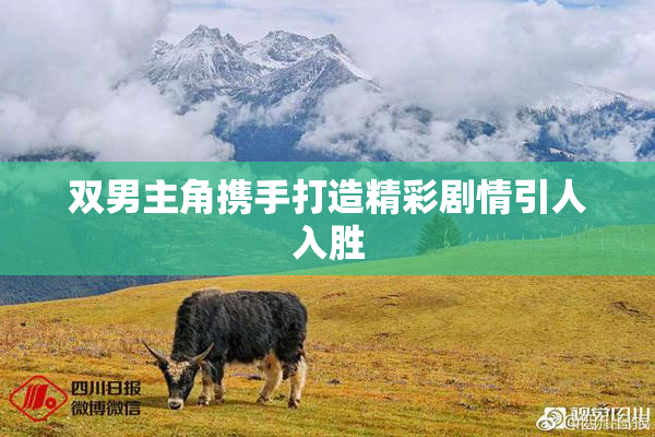 双男主角携手打造精彩剧情引人入胜