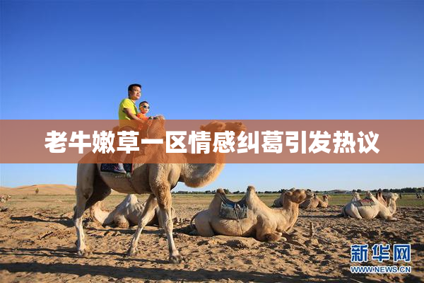老牛嫩草一区情感纠葛引发热议