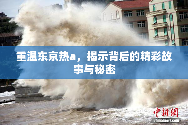 重温东京热a，揭示背后的精彩故事与秘密