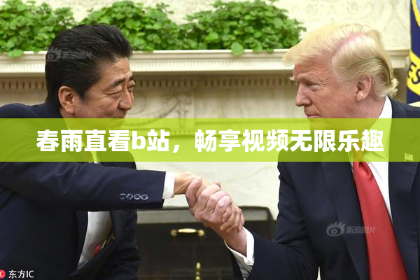 春雨直看b站，畅享视频无限乐趣