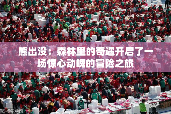 熊出没：森林里的奇遇开启了一场惊心动魄的冒险之旅
