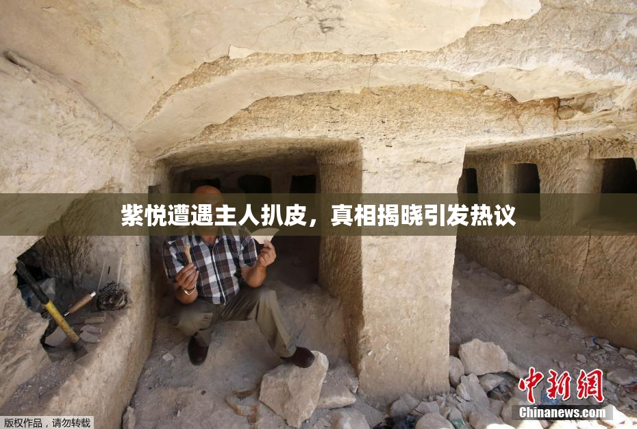 紫悦遭遇主人扒皮，真相揭晓引发热议