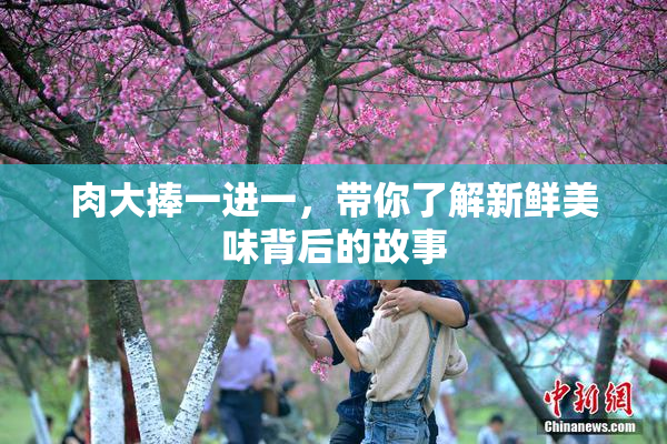 肉大捧一进一，带你了解新鲜美味背后的故事