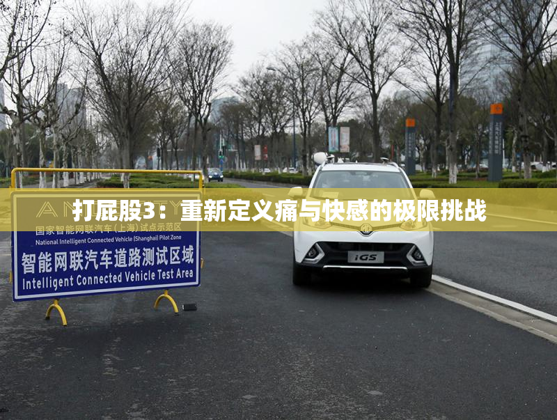 打屁股3：重新定义痛与快感的极限挑战