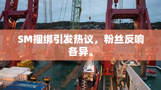 SM捆绑引发热议，粉丝反响各异。