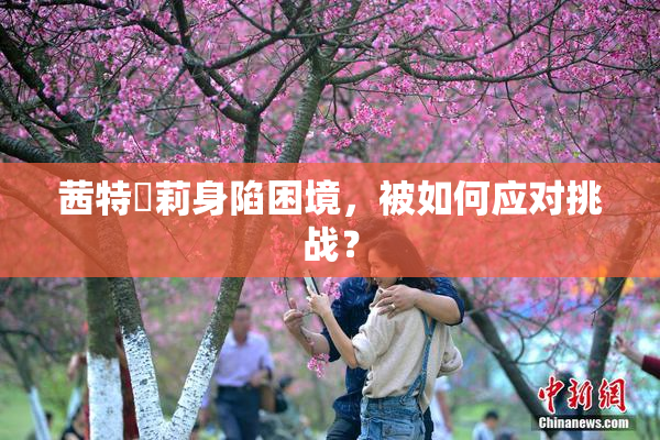 茜特菈莉身陷困境，被如何应对挑战？