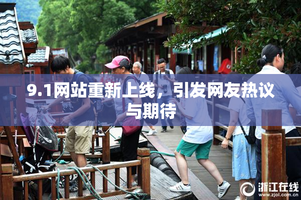 9.1网站重新上线，引发网友热议与期待