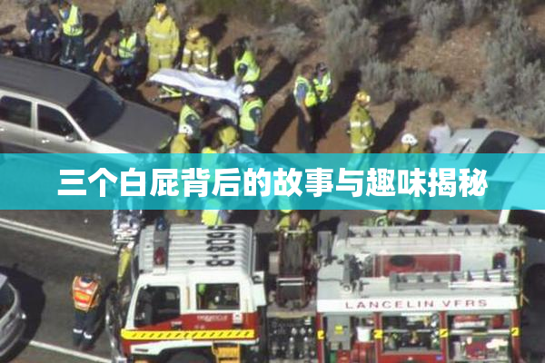 三个白屁背后的故事与趣味揭秘