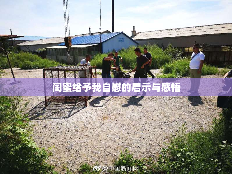 闺蜜给予我自慰的启示与感悟