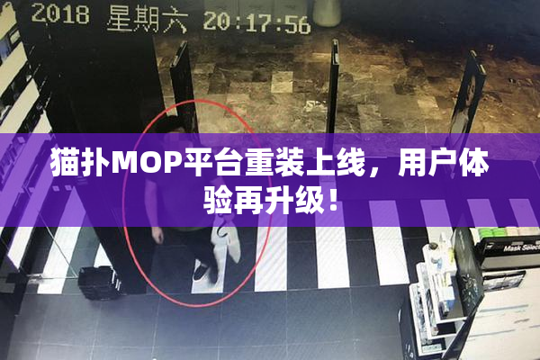 猫扑MOP平台重装上线，用户体验再升级！