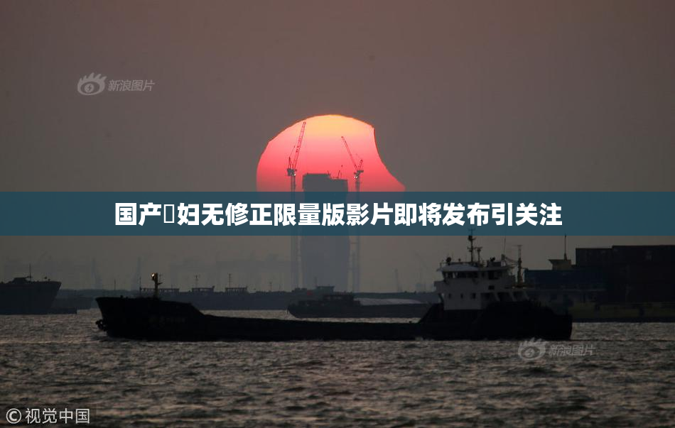 国产婬妇无修正限量版影片即将发布引关注