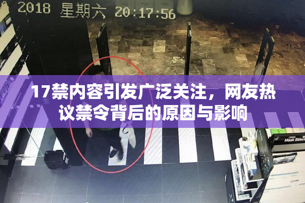 17禁内容引发广泛关注，网友热议禁令背后的原因与影响